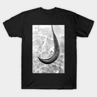Seed Pod T-Shirt